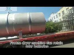 300 kg/παρτίδα Μηχανή στεγνώσεως κατά ψύξη υπό κενό Αεροψύξη