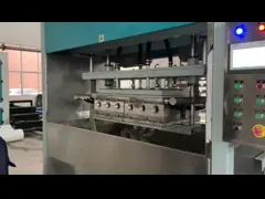 Машина прессформы бумажной пульпы делая судно больницы/тошнить тазик/больной бак video