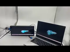 12.3 дюймовый LCD/LED модуль AM Местное затемнение video