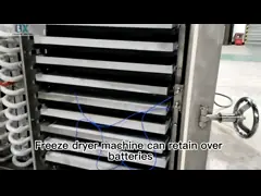 Τροφίμων Βιομηχανικό στεγνωτήρα κατάψυξης 200 kg/παρτίδα