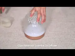 Стеклянный резервуар с водой и ароматный диффузор с стеклянной крышкой с светодиодным освещением DN-851 video