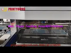 PRY-80 Automatic Servo Gold Paper Hot Foil Stamping Machinery 30 Times/Min