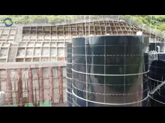 Повышение эффективности использования биогаза с помощью винтовой машины для обезвоживания ила video