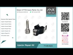 Kit de reparação do injetor Delphi para injetor DAIMLER R04201D video