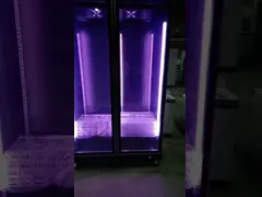 R290 однодверный холодильник вертикальный холодильник с коммерческим дисплеем для напитков video