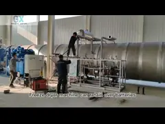 1000 kg/παρτίδα Μεγάλο στεγνωτήρα ψύξης με κενό με τηλεχειριστήριο PLC