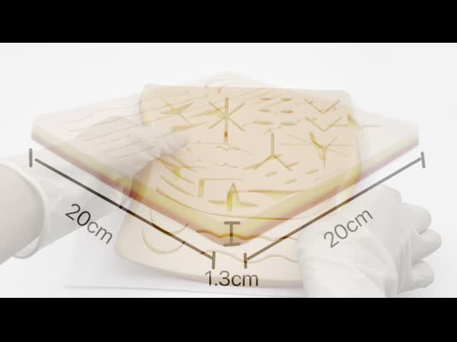Медицинский класс Силиконовый швейный прокладка с реалистичной текстурой видео