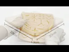 Медицинский класс Силиконовый швейный прокладка с реалистичной текстурой video