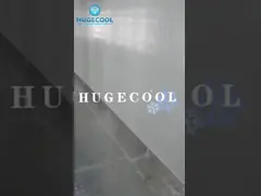 Дисплей Прогулка в холодильнике/морозильнике со стеклянной дверью и полкой video