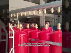 Lpg Fm200 Система очистки цилиндров Агент FM200 Кабинет огнетушителя для компьютерной комнаты video