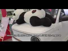Чистый электрический Geely Panda Mini EV 2024 200 км Панда Найт video