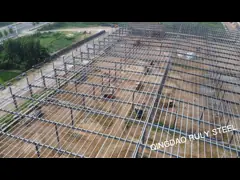 Предварительная инженерия Предварительная конструкция здания Мастерская строительства Хранилище здания Легкая промышленность Мастерская проектирования Стальная конструкция video