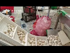 TOUPACK Garlic weighing and packaging solution
