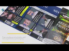 Цифровой печатный ртутный табачный мешок с перезамыкаемым молниеносным циппом video