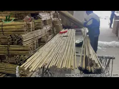 Поляки красочных сырцовых бамбуковых тросточек бамбуковые для земледелия сада video