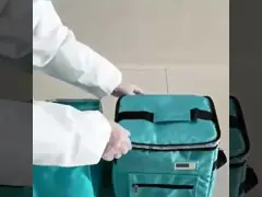 33 литровый мягкий пакет охладитель для транспортировки крови Zipper мини-охладитель для медицины video