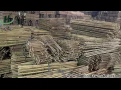 Бамбук 100% сырья укрепляет 6m обручи формы u Handcrafted цветок поддержки шпалеры video