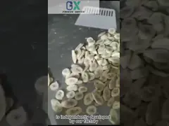 温度範囲 -50Cから50C 家庭用食品冷凍乾燥機 PLC制御