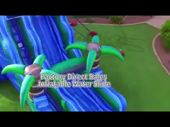Многообразные стили настройки коммерческие жилые надувные водные горки надувные горки с PVC водными горками video