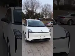 2024 Горячая продажа EV Электрическое транспортное средство Maple Leaf 60-е годы 2022 модифицированная простая версия литий-железофосфат компактный автомобиль video