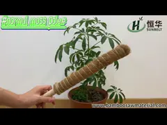 15,7 естественного покрашенного дюйма поляка мха поляков койра кокоса поляков завода для заводов взбираясь и поддерживая video