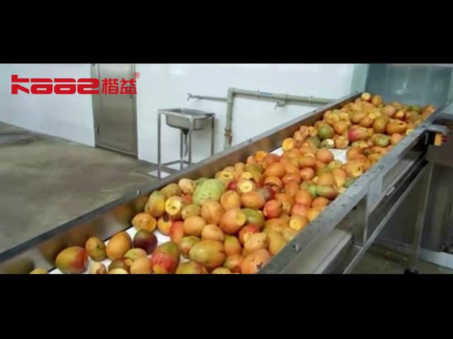 食用品級 SS304 マンゴジュース生産ライン