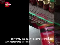 Canned Double Concentrated Tomato Paste 425g Hard Open Lid Per Tin
