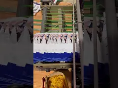 Машина для изготовления мешков длина 440 мм Zipper Bag Making Machine с трехсторонним уплотнением video