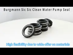 Сик против Сика Чистая вода насос Механическая уплотнение Заменить Burgmann MG1 Механическая насос уплотнение Сделано в Китае video