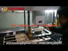 PRY-ST-92 Автоматический двухголовый мусоросчиститель для очистки отходов Стрипинг-машина для режущей коробки video