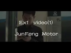 EX1-BOX Globale Synchronisation Kleiner Dongfeng Elektrischer SUV Dongfeng SUV