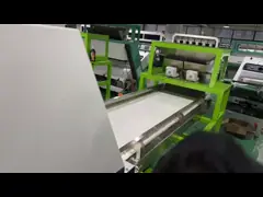 Машина для сортировки пояса для сортировки орехов миндаля Орехи макадамии Орехи грецкие Цветный сортировщик Растительный цветный сортировщик video