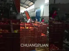 Промышленная машина для пюре помидоров Машина для соуса помидоров Чистая на месте CIP 380V Точность заполнения ± 1% video