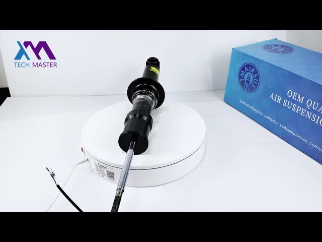 Rear Air Suspension Shock Absorber For Audi A8 D4 4H6616001F Car Accessory video
