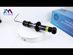 Rear Air Suspension Shock Absorber For Audi A8 D4 4H6616001F Car Accessory video