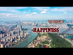 Красный JunFeng бренд 4-местный EV мини-автомобиль Экономика Автомобиль 60 км / ч video