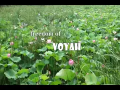 LanTu TREE Voyah kostenloses Auto Voyah SUV Elektroauto 520KM Schnelles Laden 0,5H