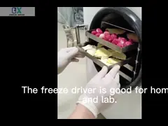 コンパクト カスケード ホーム フリースドライヤー 4Kg 6Kg 8Kg 10Kg マシン