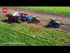 How is China's Xinjiang Drum Tomato Paste produced