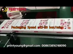 QD-20B Adjustable Tree-Dimensional Cellophane Over Wrapping Machine