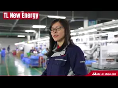 Silver Fish E-Type E Bike Battery 1000W 24V 36V 48V 10ah 15ah 20ah E-Scooter Battery Bicycle Battery 18650 Cell Downtube Akku Vacuum Cleaner Battery Pack