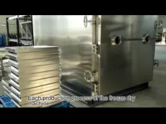 Βιομηχανική μηχανή ψύξης για την ξήρανση φρούτων και λαχανικών
