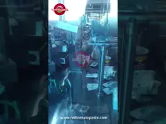 Hard Open Lid Canned Tomato Paste 140g Per Tin Double Concentrated