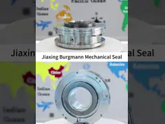 Pharmaceutical Industry Agitator Mechanical Seal Non Toxic