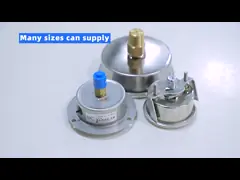 SS304 خشکی Bourdon Sedeme فشار سنج پشت اتصال 4' اندازه