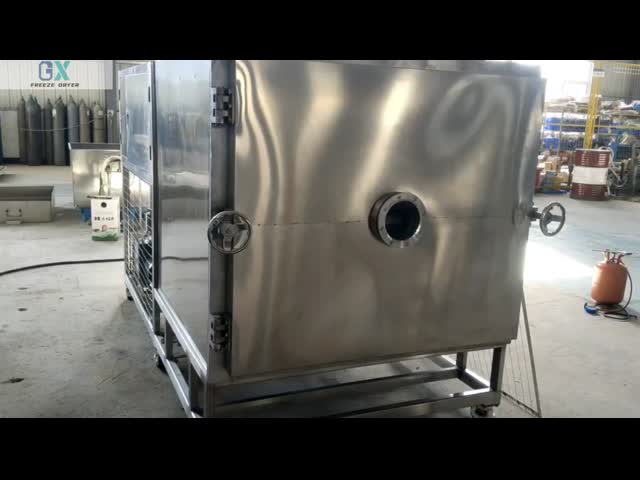 200kg/batch Capacity Food Vacuum Freeze Dryer Machine Equipment