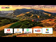 1080p Resolution Streaming Devices Android 12 Digibox For Tv video