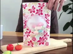 OEM Стоящий рюкзак с резьбой CMYK Цветной пластик Стоящий рюкзак с резьбой video