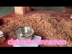 China Crispy Japanese Style Panko Bread Crumbs 1kg 10kg Breadcrumbs supplier