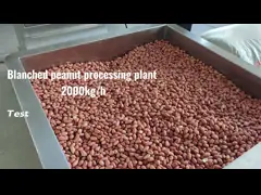 Высокая скорость отбеливания Peanut Air Blanching Machine Peanut Air Blacher